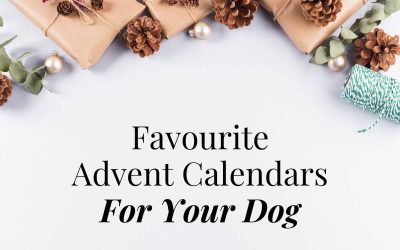 Our Favourite Dog Advent Calendars UK 2024 For A Pawsome Countdown!