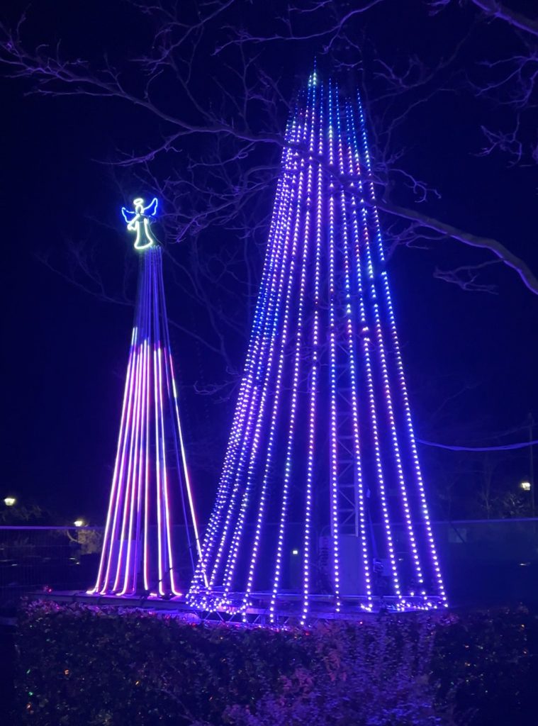 Talking Trees at the Steam Illuminations 2024